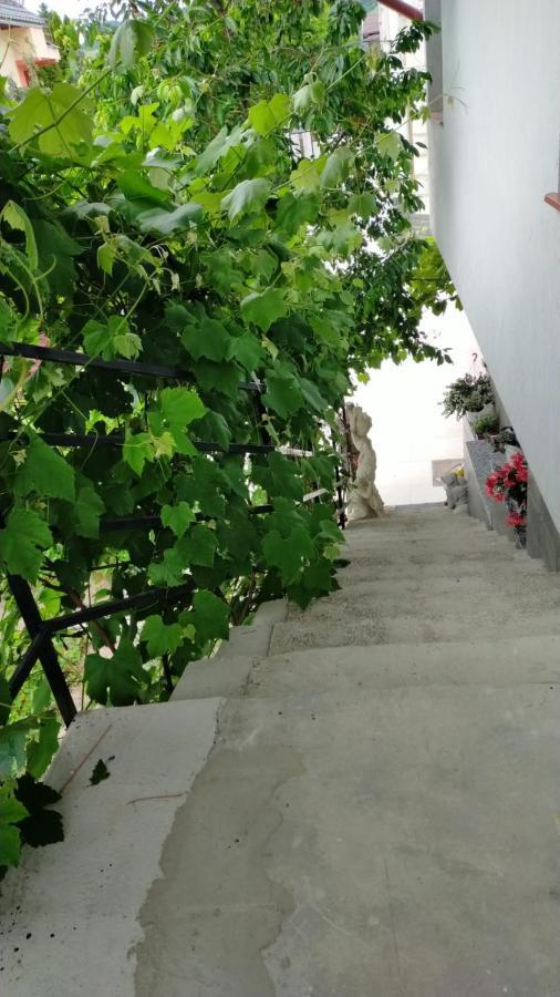 דירות גורה הומורולווי Casa Irimescu מראה חיצוני תמונה