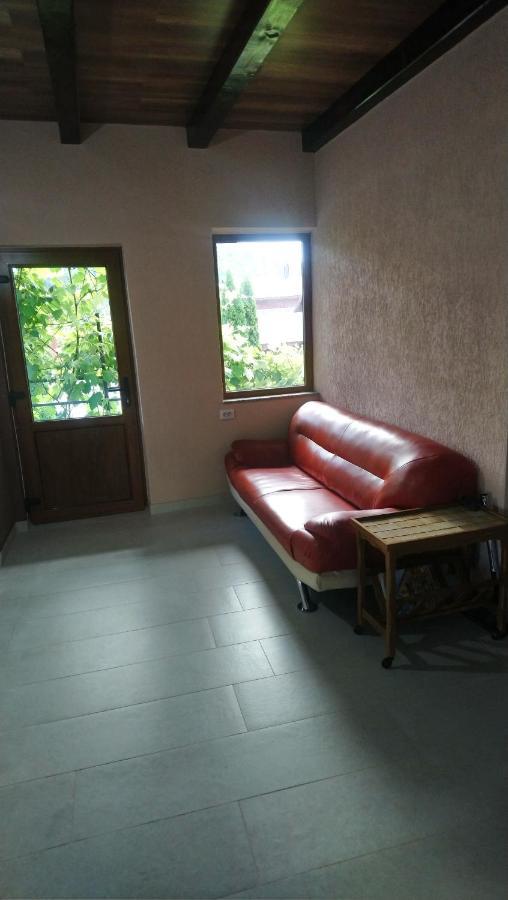 דירות גורה הומורולווי Casa Irimescu מראה חיצוני תמונה